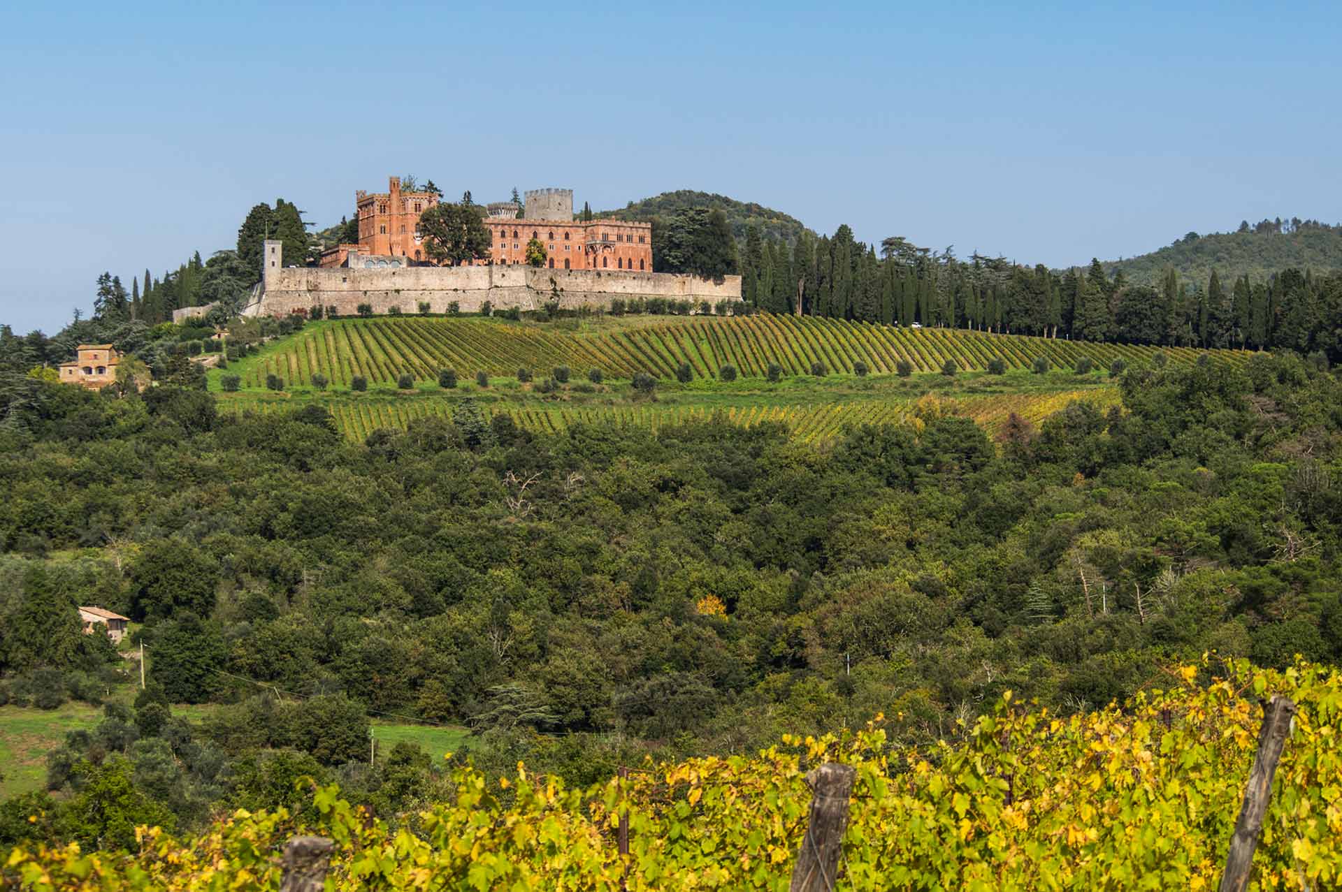 Vista panoramica su un castello toscano circondato da vigneti nel Chianti, immerso nel verde