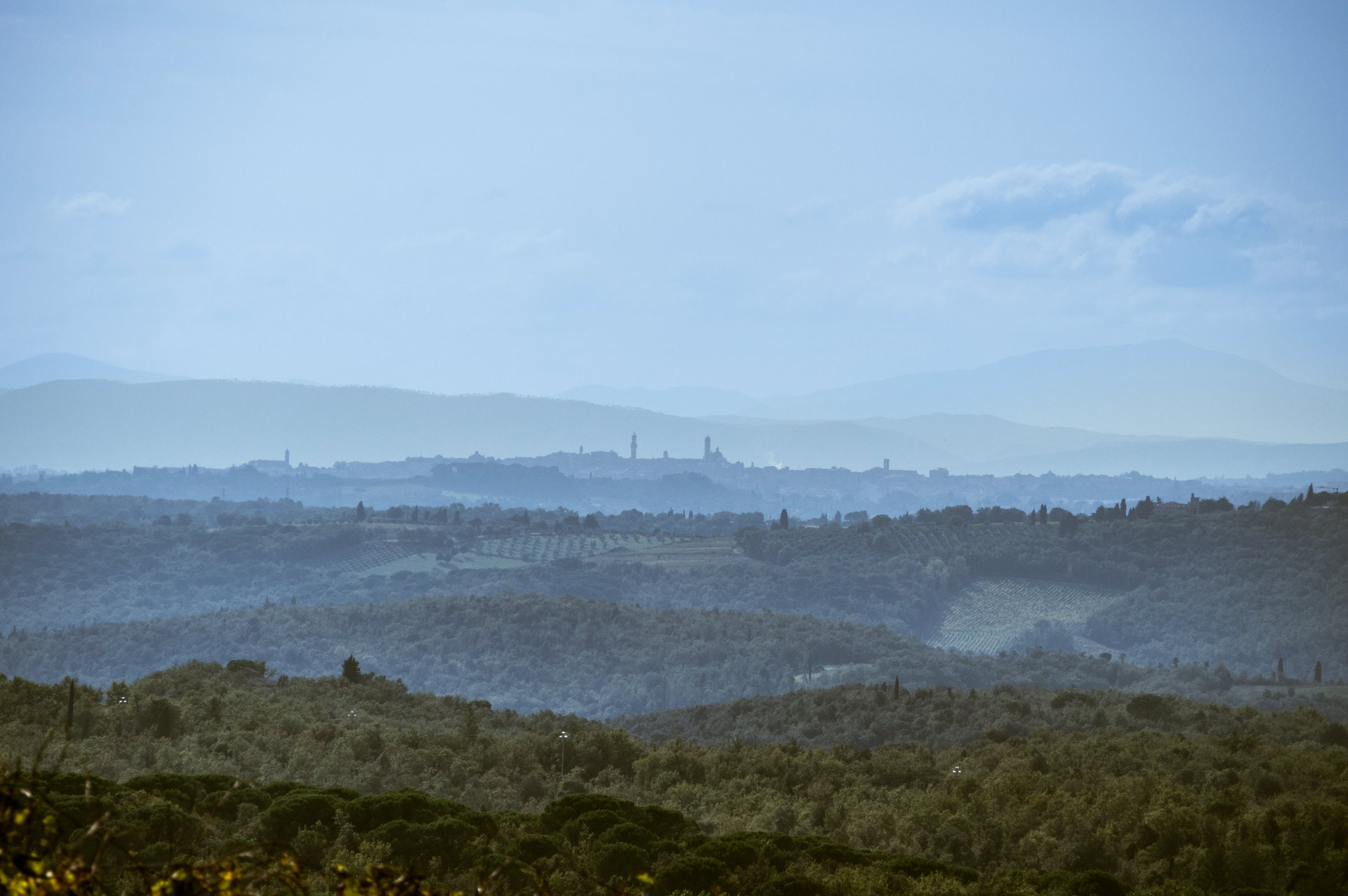 Veduta panoramica di Siena all’orizzonte tra le colline e i vigneti del Chianti