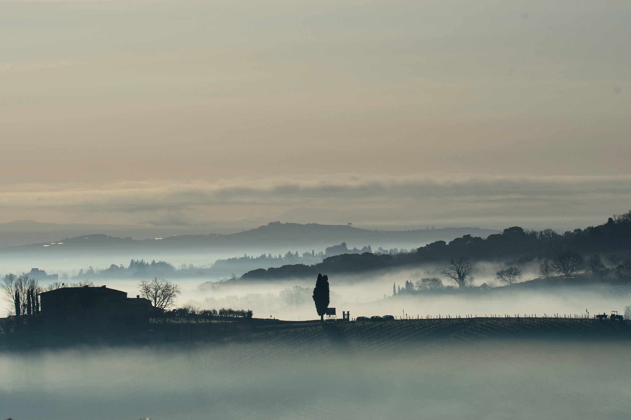 Paesaggio collinare del Chianti immerso nella nebbia, con cipressi all’alba