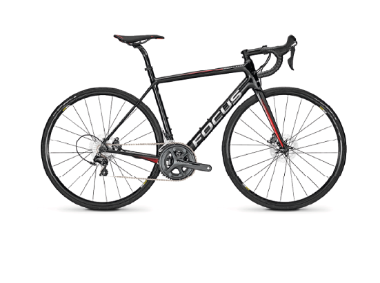 Bici da corsa Focus per tour su asfalto, noleggiabile a Siena