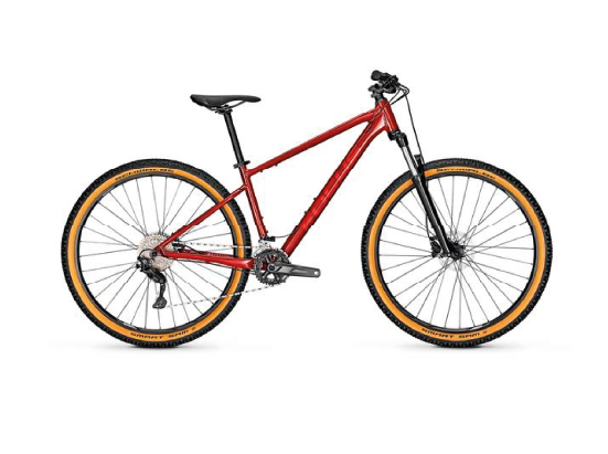 Bici ibrida Focus per cicloturismo, noleggiabile a Siena