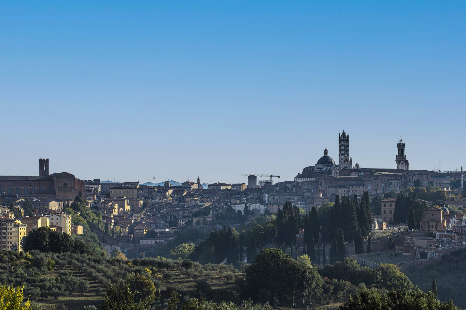 Vista panoramica di Siena con il Duomo e la Torre del Mangia