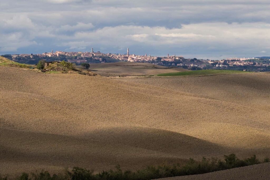 Scenic view with the city of Siena in the distance among Tuscan hills