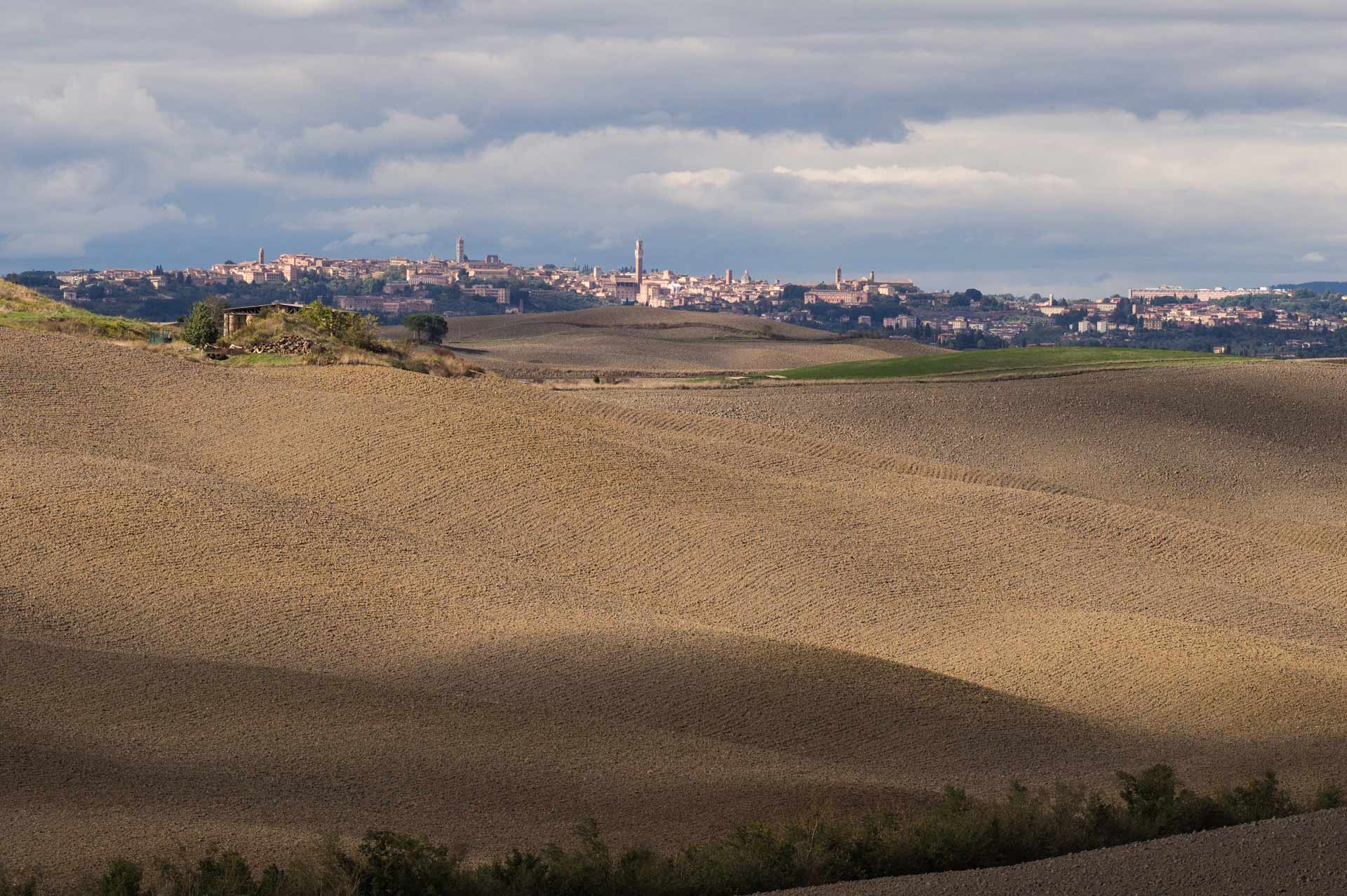 Panorama con la città di Siena in lontananza tra colline toscane