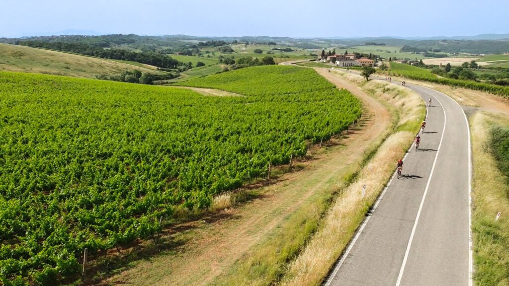 Ciclisti pedalano tra le vigne nelle colline del Chianti